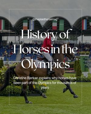 Image post by @theplaidhorsemag on Instagram