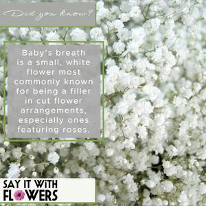 Image post by @sayitwithflowerspk on Facebook