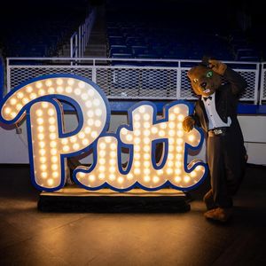 Image post by @rocthepanther on Instagram