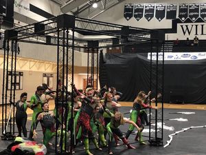 Image post by @wgisportofthearts on Instagram
