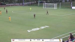 Video post by @lipscombbisons3364 on YouTube