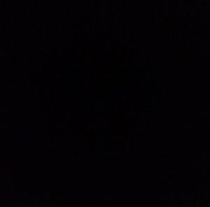Image post by @joshpriddy on Instagram
