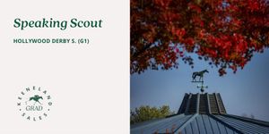 Image post by @keenelandsales on Twitter
