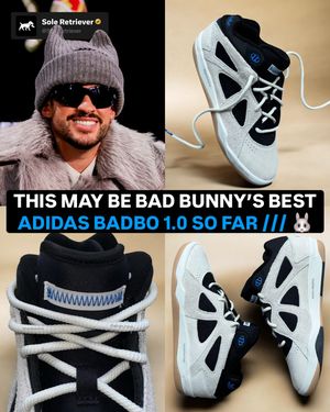 Image post by @soleretriever on Instagram
