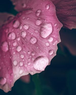 Image post by @sigmaphoto on Instagram
