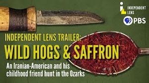 Video post by @independentlens on YouTube