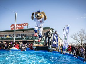 Image post by @sbcubs on Instagram