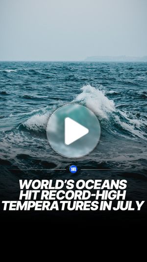 Video post by @dailymail on Instagram