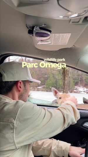 Video post by @morgan.exploring on TikTok