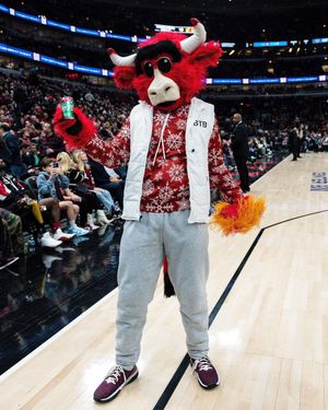 Image post by @bennythebull on Instagram