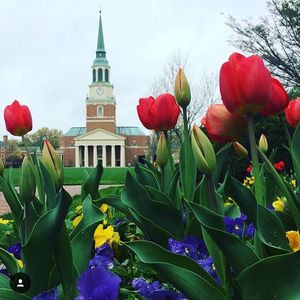 Image post by @wfuniversity on Instagram