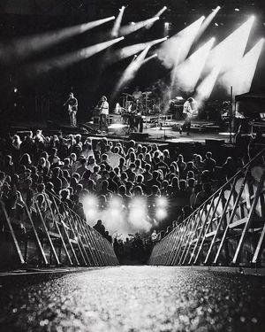 Image post by @localnatives on Instagram