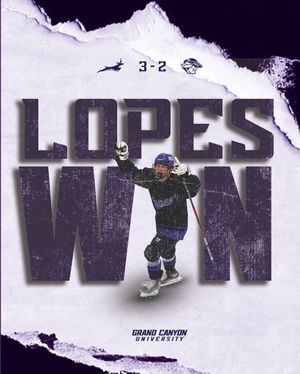 Image post by @lopeshockey_d3 on Instagram