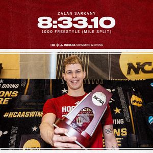 Image post by @indianaswimdive on Instagram