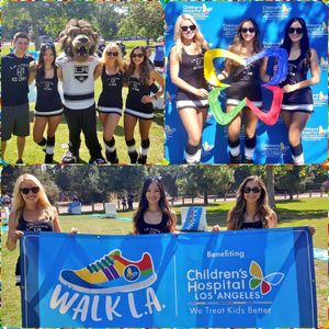 Image post by @lakingsicecrew on Instagram