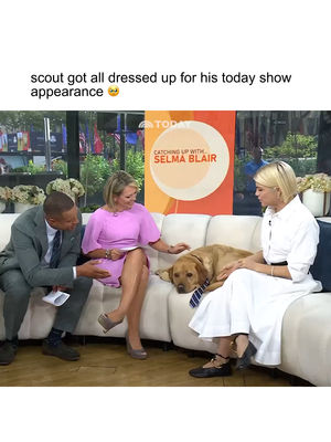 Video post by @todayshow on TikTok