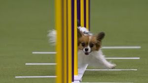Video post by @foxsports on YouTube