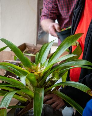 Image post by @stjohnscountylibrary on Instagram