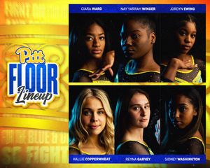 Image post by @Pitt_GYM on Twitter