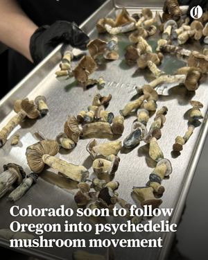 Image post by @theoregonian on Instagram