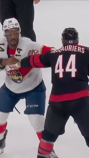 Video post by @hockeyfights on Instagram