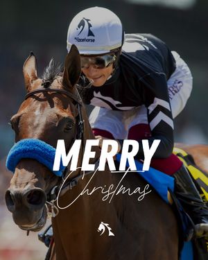 Image post by @myracehorse_ on Instagram