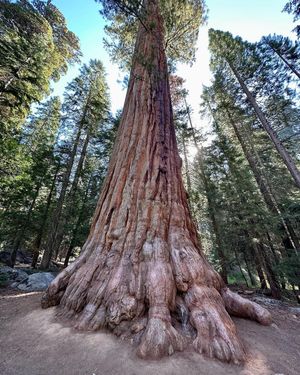 Image post by @nationalparkscollective on Instagram