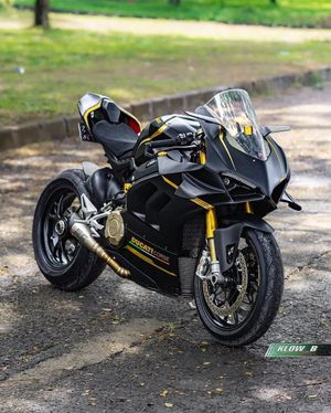 Image post by @panigalers on Instagram