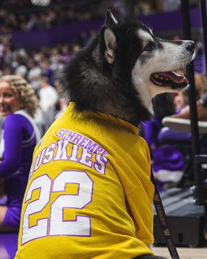 Image post by @uwathletics on Instagram