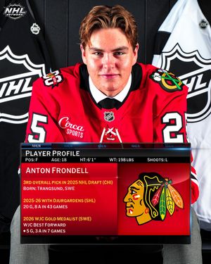 Image post by @nhlmedia on Instagram