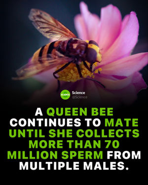 Image post by @science on Instagram