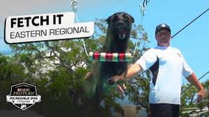 Video post by @nbcsports on YouTube