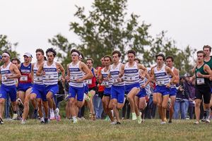 Image post by @bluejayxc on Instagram