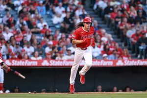 Image post by @cotuck on Instagram