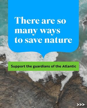 Image post by @rspb on Instagram
