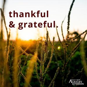 Image post by @txextension on Instagram