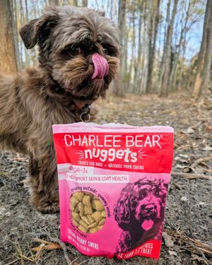 Image post by @charlee_bear_dogtreats on Instagram