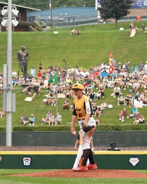 Image post by @littleleague on Instagram