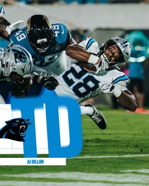 Image post by @panthers on Instagram