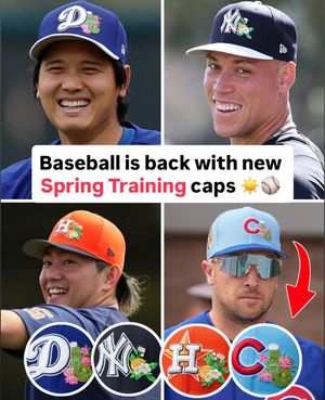 Image post by @mlb on Instagram