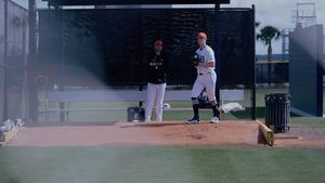 Image post by @tigers on Instagram