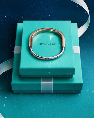 Image post by @tiffanyandco on Instagram