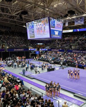 Image post by @uwgymnastics on Instagram