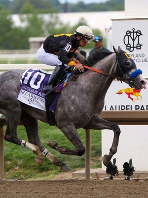 Video post by @americasbestracing on TikTok