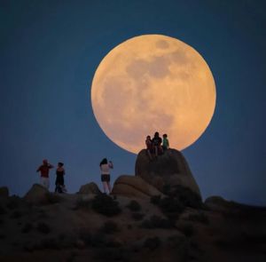 Image post by @nationalparkservice on Instagram
