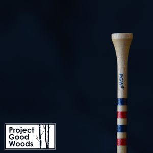 Image post by @evolvegolf on Twitter