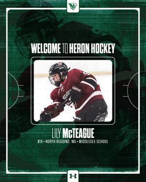 Image post by @heronhockey on Instagram