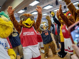 Image post by @rockyredhawk on Instagram