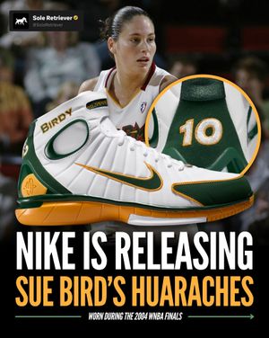 Image post by @soleretriever on Instagram