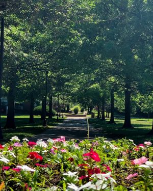 Image post by @marshallu on Instagram